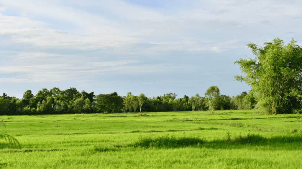 Understanding Different Realms of Land Surveying Core Geomatics